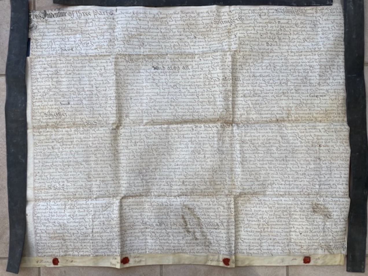 Legal Document 1